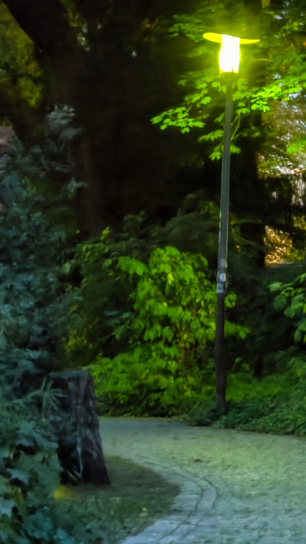 Experience photo 1
